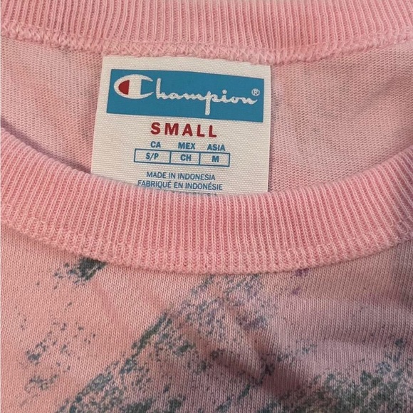 Brand New Pink & Grey Heavyweight Champion T-shirt - Picture 4 of 6